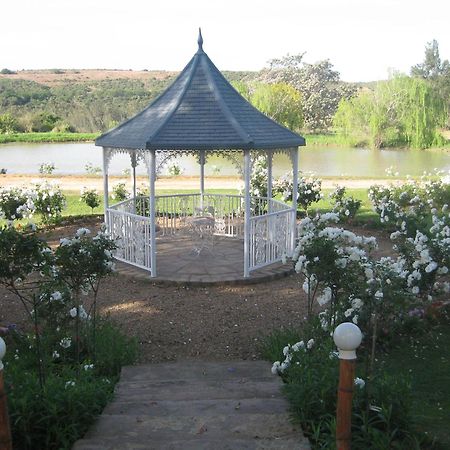 Happy Lands Farmstay Addo Extérieur photo