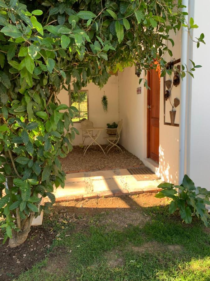 Happy Lands Farmstay Addo Extérieur photo