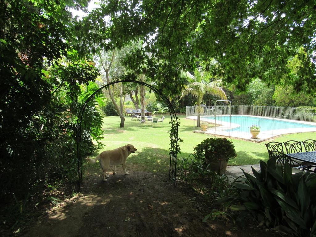 Happy Lands Farmstay Addo Extérieur photo